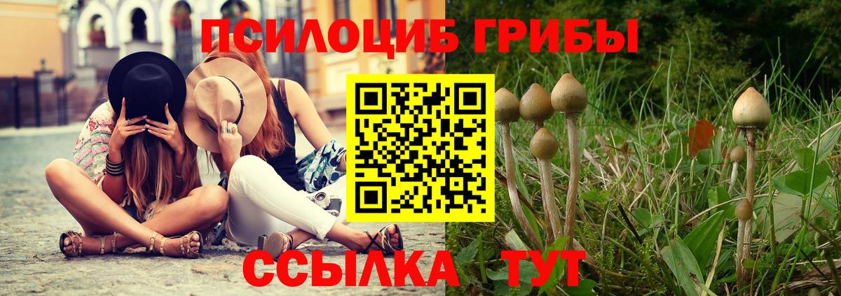 Псилоцибиновые грибы GOLDEN TEACHER Хабаровск